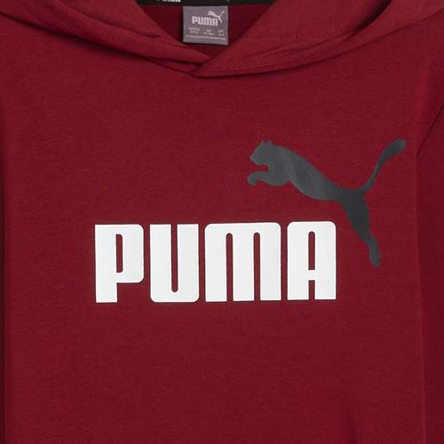 Puma Duks Puma Ess+ 2 Col Big Logo Hoodie Fl B Za Dečake slika 3