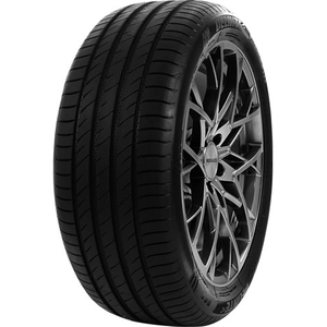 Delinte 195/65 HR15 TL 91H DELINTE DS2