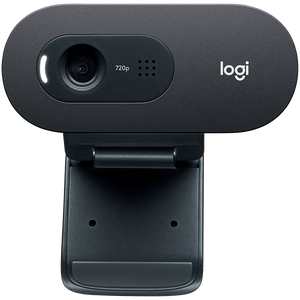 Web kamera Logitech C505 HD, USB, crna