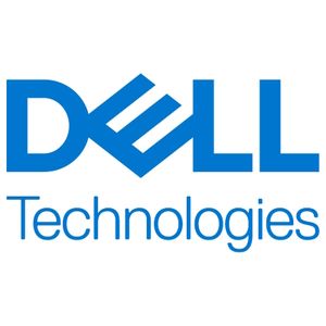 Dell Adapter DisplayPort - DVI-D (Dual Link)