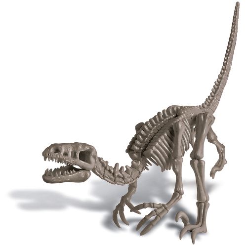 Dinosaur Velosiraptor slika 2