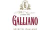 Galliano logo