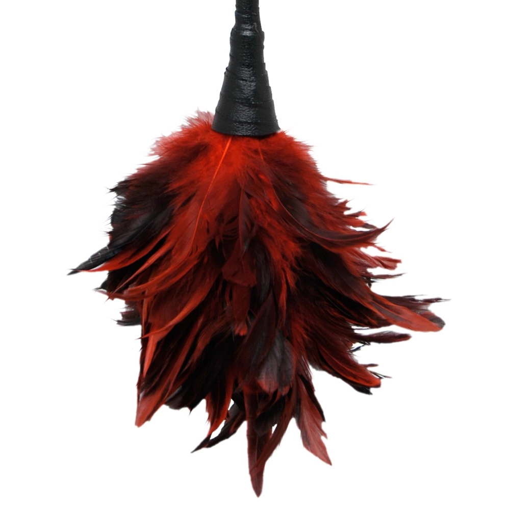 Fetish Fantasy Series FFS Frisky Feather Duster slika 2