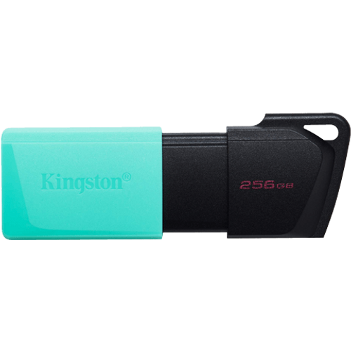 USB memorija KINGSTON DTXM 256GB slika 1