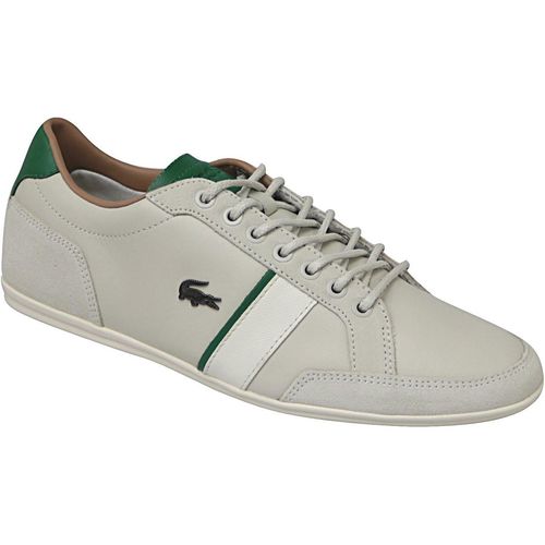 Lacoste alisos 117 1 cam1018098 slika 1