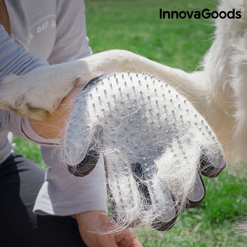 InnovaGoods rukavica za češljanje i masažu kućnih ljubimaca 16x23cm slika 6
