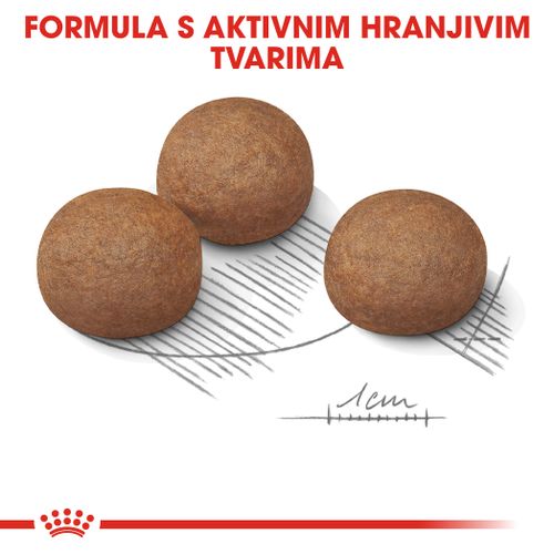 ROYAL CANIN CCN Maxi Digestive, potpuna hrana za pse - Za odrasle i starije pse velikih pasmina (od 26 do 44 kg) - Stariji od 15 mjeseci - Psi skloni osjetljivoj probavi, 3 kg slika 7