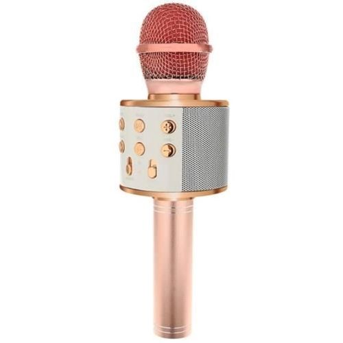 Karaoke mikrofon s zvučnikom rozi slika 6