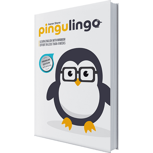Pingulingo - Sistem za učenje engleskog jezika slika 1