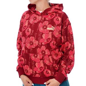 Puma Duks ESS+ ClaSS Act Aop Hoodie TR za žene