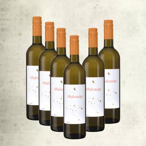 Malvazija Lectus vrhunsko vino (nagrađivano) / 6 boca
