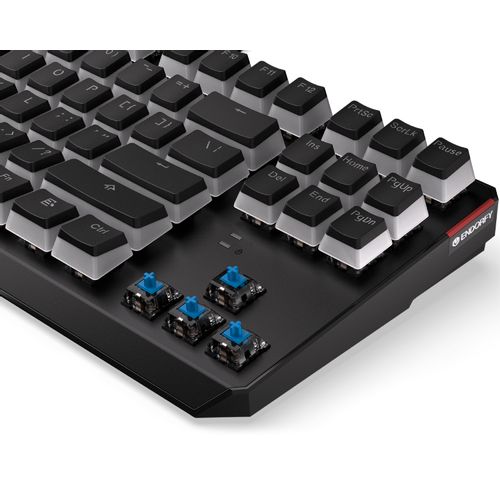 Endorfy Thock TKL Pudding RGB tastatura (EY5A004) slika 8