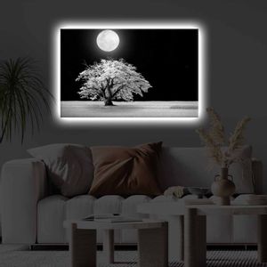4570KTLGDACT - 022 Multicolor Decorative Led Lighted Canvas Painting