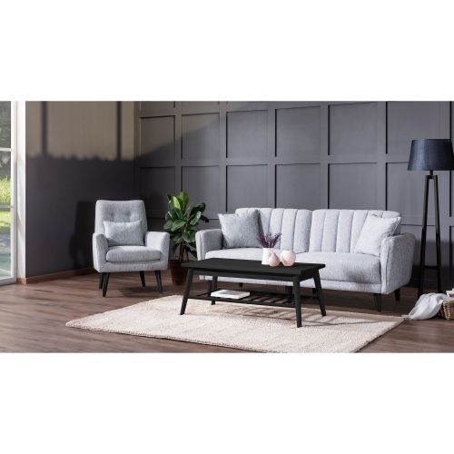 Atelier Del Sofa AQUA-TAKIM3-S 1008 Sivi Sofa-Bed Set slika 2