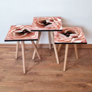 Nesting Table 3Shp251 - Set od 3 Stola u Bojama: Losos, Smeđa, Bijela