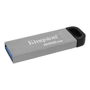 FlashDrive 256GB Kingston DTKN/256GB Sivi USB3.2