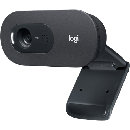 Web camera Logitech C505e 960-001372 slika 1