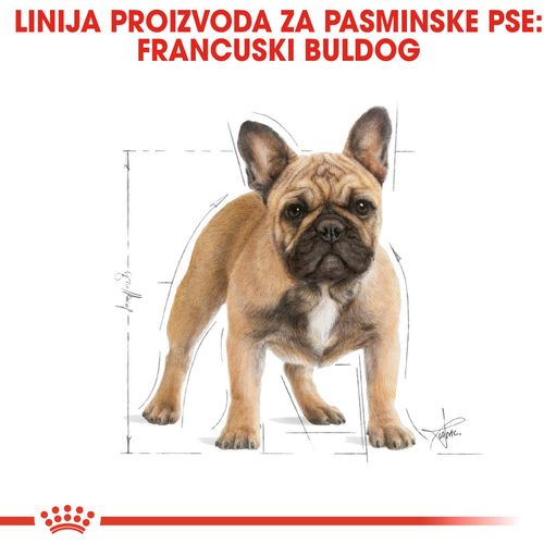 ROYAL CANIN BHN French Bulldog Adult, potpuna hrana za odrasle i starije pse pasmine francuski buldog, 3 kg slika 4