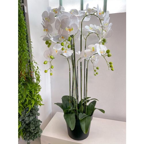 Orhideja u posudi, bijela-160cm slika 1