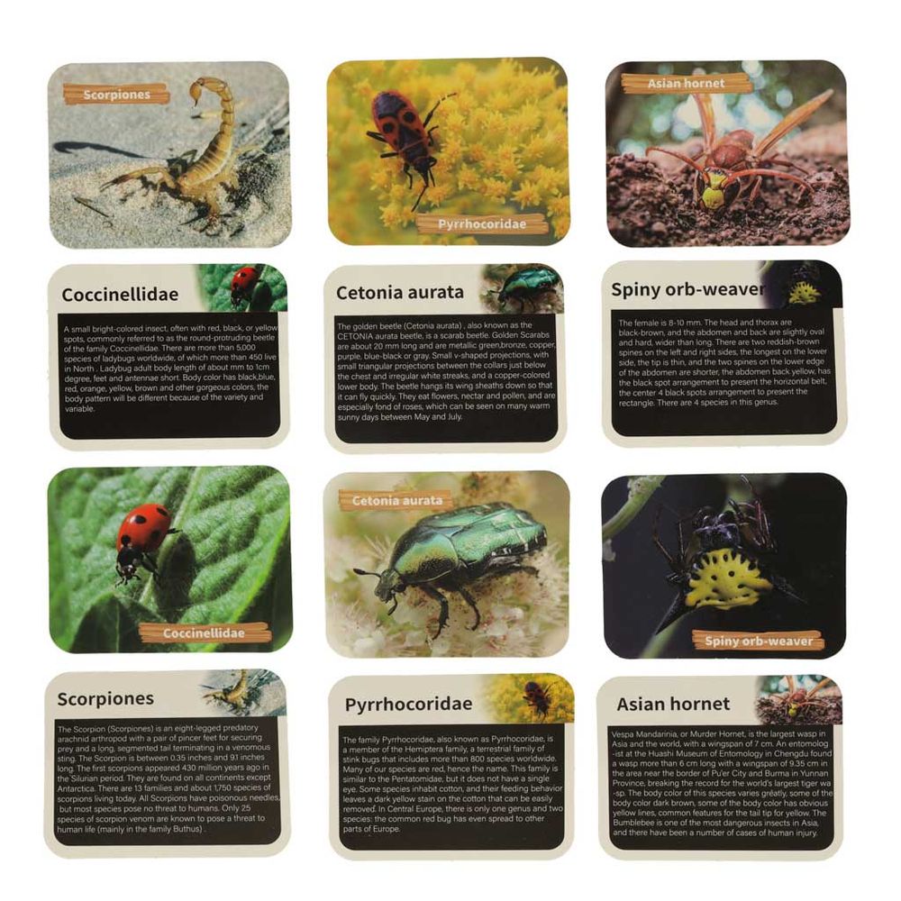 Arheološka iskapanja insekti u jantaru slika 5