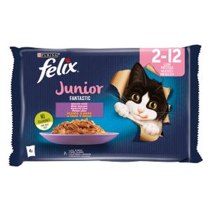 FELIX Fantastic JUNIOR Mješoviti izbor, potpuna hrana za kućne ljubimce, za mačiće, mokra hrana s piletinom u želeu i s lososom u želeu, 4x85g