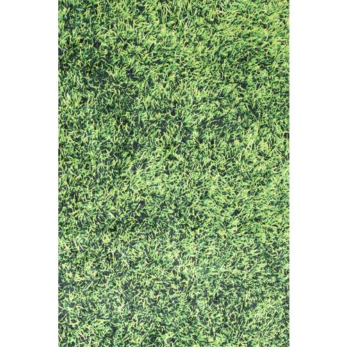 Grass  Multicolor Carpet (160 x 230) slika 2