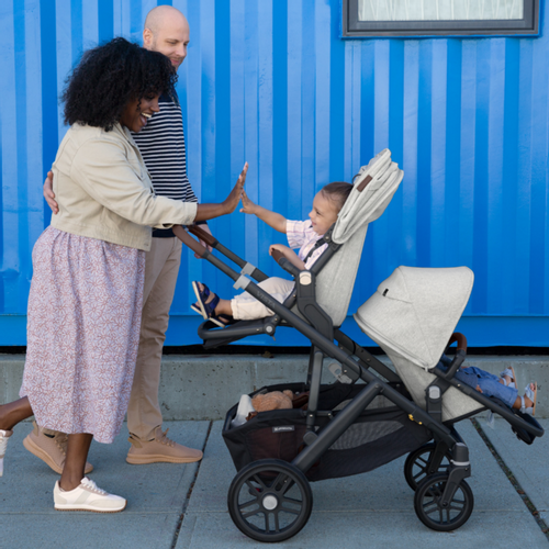 UPPAbaby dodatno sportsko sjedalo Vista/V2, Alice Dusty Pink slika 3