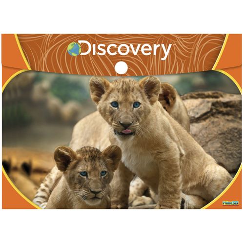 National Geographic 3D mapa kuverta A4 - ap - lions by the pool slika 1