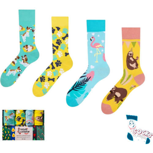 Socks & Friends Set Čarapa 4/1 Animal Lover slika 1