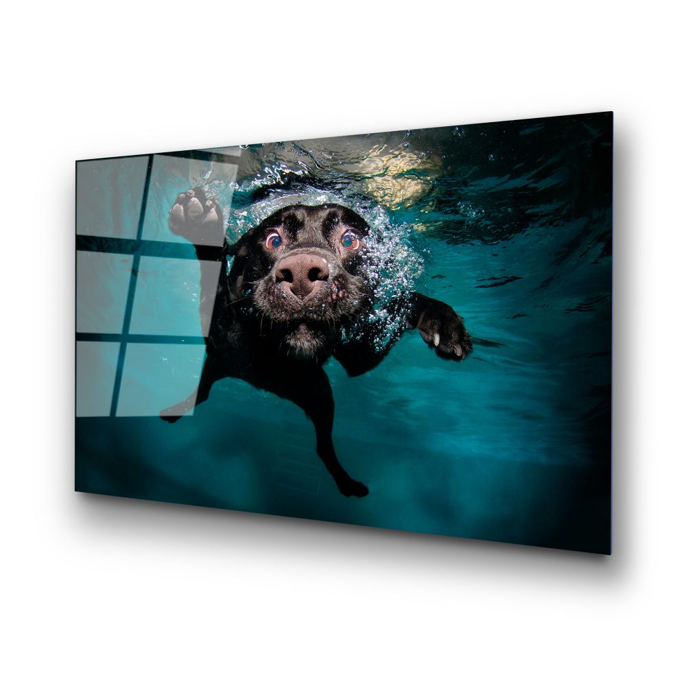 Dekorativna Slika na Kaljenom Staklu UV-166, 70 x 100 cm, Višebojna slika 6