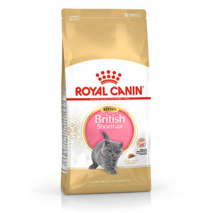 Royal Canin BRITISH SHORTHAIR KITTEN - hrana prilagođena specifičnim potrebama british shorthair mačića od 4. do 10. meseca života 400g