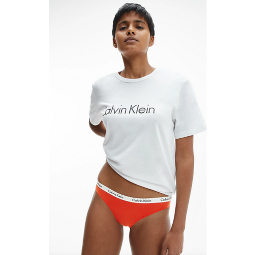 Calvin Klein ženski donji veš 3 Pack Bikini Briefs - Carousel 000QD3588E1CX slika 4