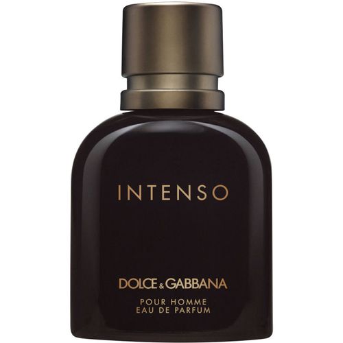 Dolce & Gabbana Pour Homme Intenso EDP 200 ml slika 1