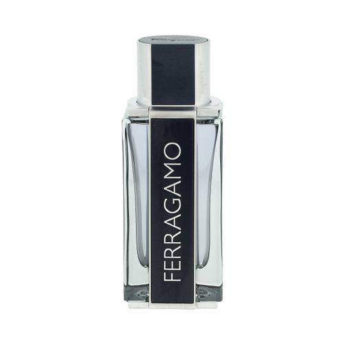 Salvatore Ferragamo Ferragamo Eau De Toilette 100 ml (man) slika 3