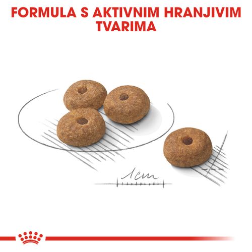 ROYAL CANIN CCN Mini Sterilised, potpuna hrana za pse - Za kastrirane/sterilizirane odrasle pse malih pasmina (od 1 do 10 kg) - Stariji od 10 mjeseci - Psi skloni prekomjernoj tjelesnoj težini, 1 kg slika 7