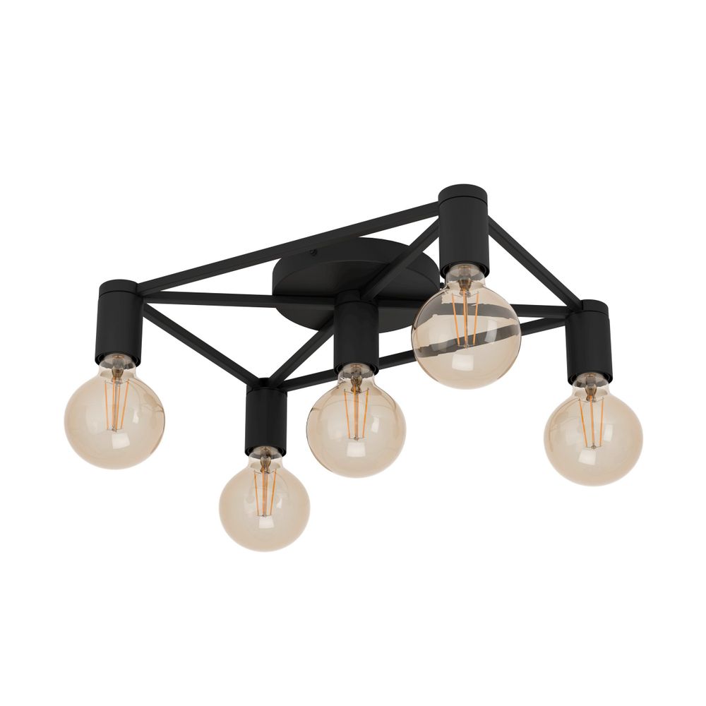 Eglo stropna lampa 'Speke' - Čelik/Crna, E27 slika 1