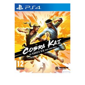 PS4 Cobra Kai: The Karate Kid Saga Continues