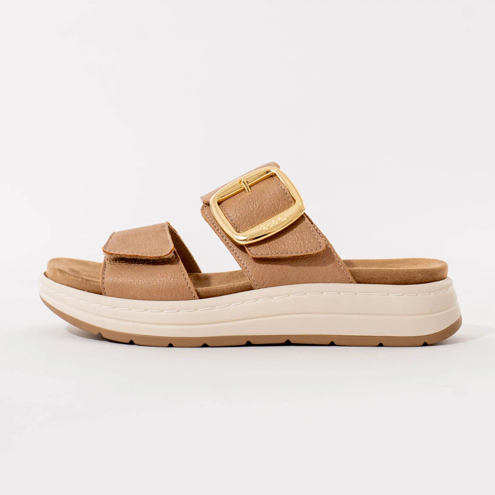 Scholl Ženske papuče Scilla 2 Straps, Braon slika 2
