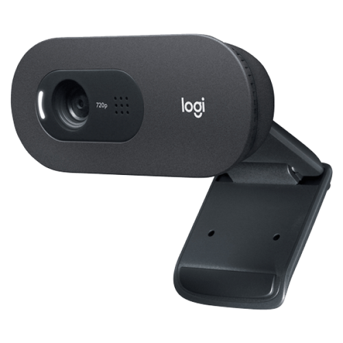 Web camera Logitech C505e 960-001372 slika 1