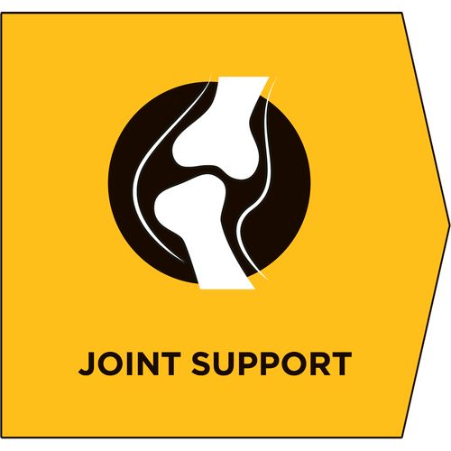 PRO PLAN VETERINARY DIETS JM Joint Mobility, za poboljšanje pokretljivosti zglobova, 12 kg slika 3