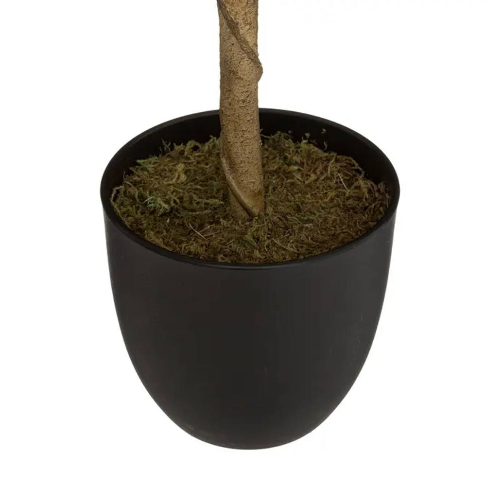 Atmosphera umjetna biljka limun 70cm slika 3