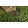 Thumbnail 43