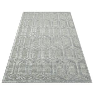 Znt 07 - Sivi Tepih za Hol (80 x 300 cm)