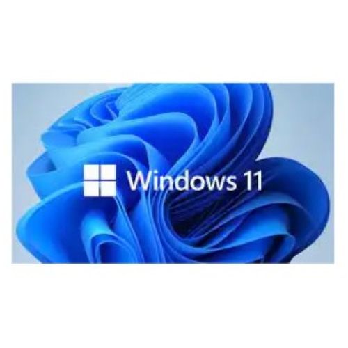 Microsoft WINDOWS 11 PRO 64BIT ENG INSTLOEM dsp dvd (fQC-10529) slika 1