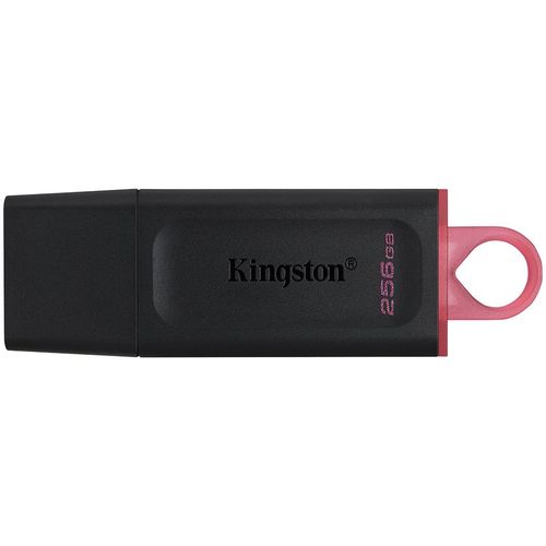 KINGSTON 256GB USB 3.2 Gen1 DataTraveler Exodia (Crna + Roza) slika 1