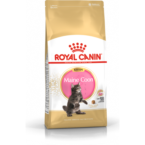 ROYAL CANIN FBN Maine Coon KITTEN, potpuna i uravnotežena hrana za mačke, specijalno za mačiće pasmine Maine Coon do 15 mjeseci starosti, 2 kg slika 1