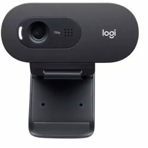 Web kamera Logitech C505e slika 1