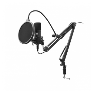 WS DSM 01 ZONIS, Microphone