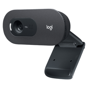 Web camera Logitech C505e 960-001372