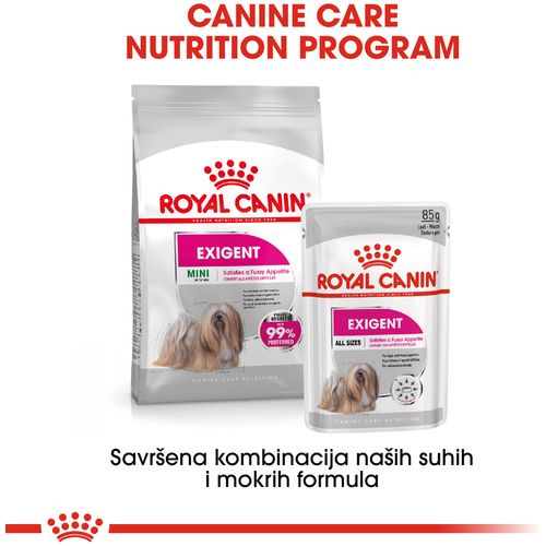 ROYAL CANIN CCN Mini Exigent, potpuna hrana za pse - Za odrasle i starije pse malih pasmina (od 1 do 10 kg) - Stariji od 10 mjeseci - Mali izbirljivi psi, 1 kg slika 3